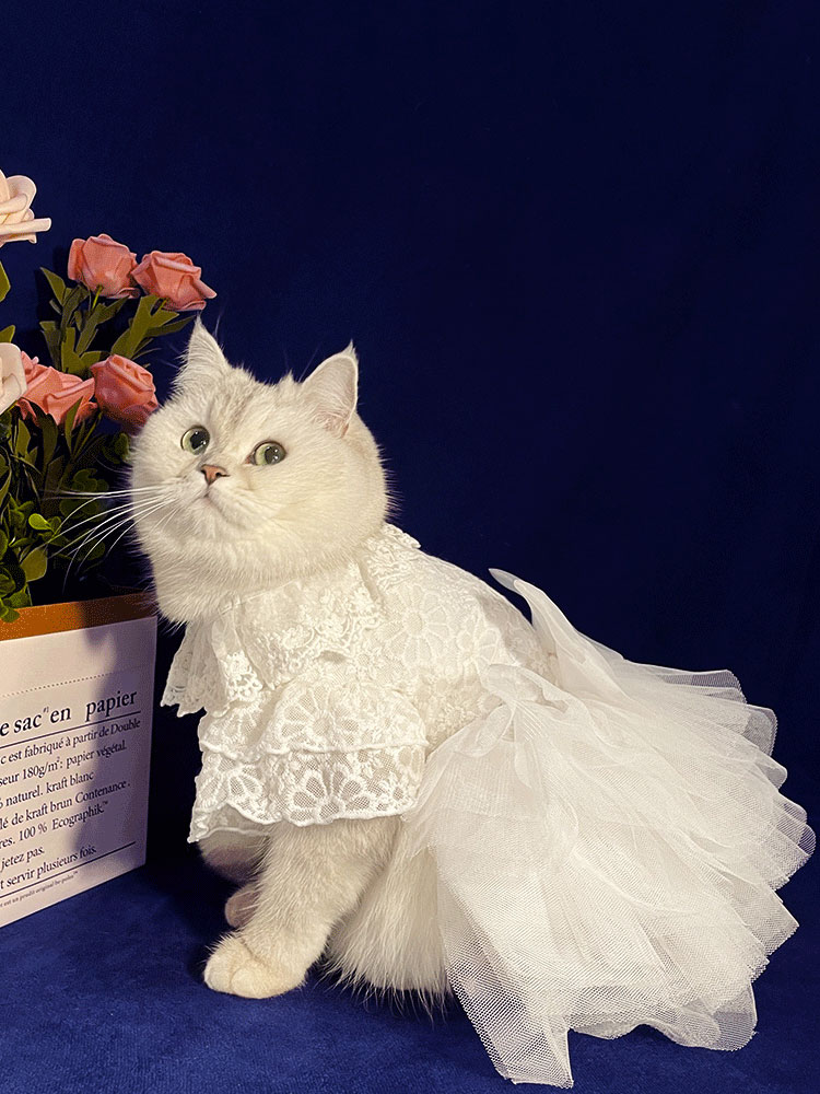ZezeLife White Embroidered Princess-style Wedding Cat Dress, view 3