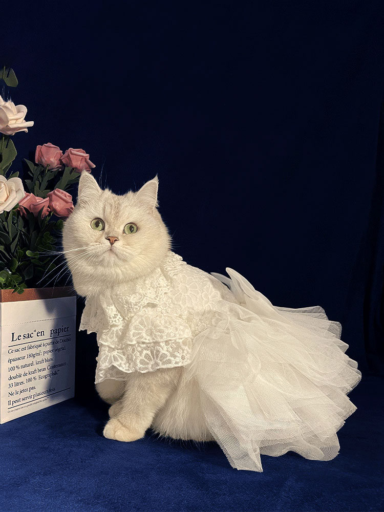 ZezeLife White Embroidered Princess-style Wedding Cat Dress, view 4
