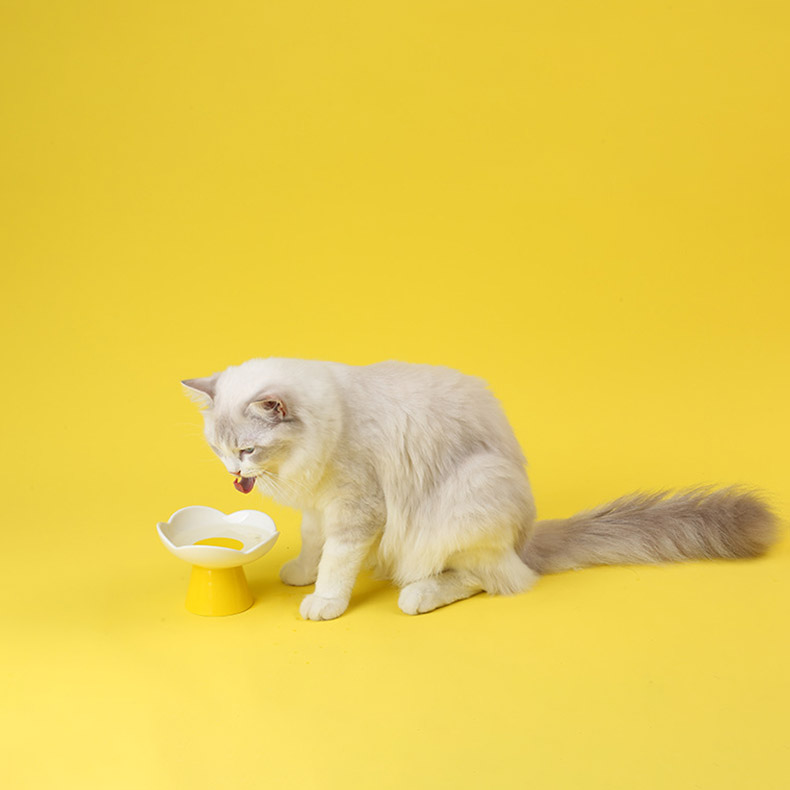 ZezeLife White Flower Ceramic Elevated Cat Bowl, view 4