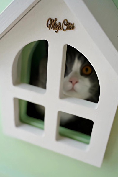ZezeLife Windmill Cat House, view 5