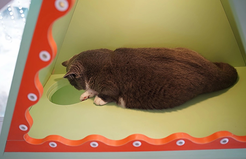 ZezeLife Windmill Cat House, view 6