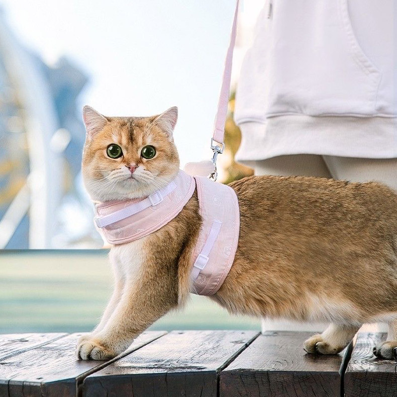 ZezeLife Wing Cat Harness and Leash, view 4