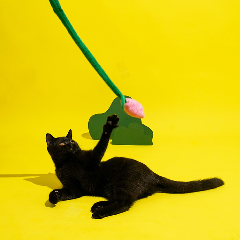 ZezeLife Worm Tulip Dog Shape Cat Teaser, view 4