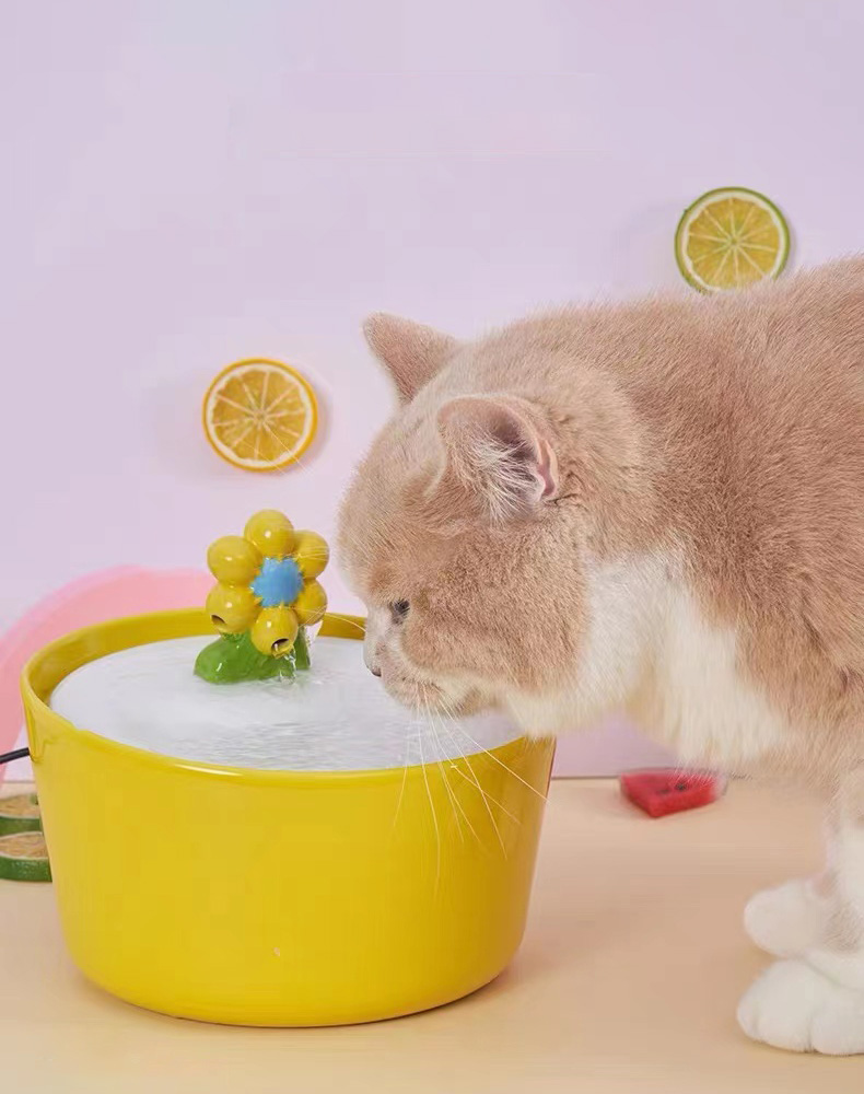 ZezeLife Yellow Flower Cat Water Fountain, view 4