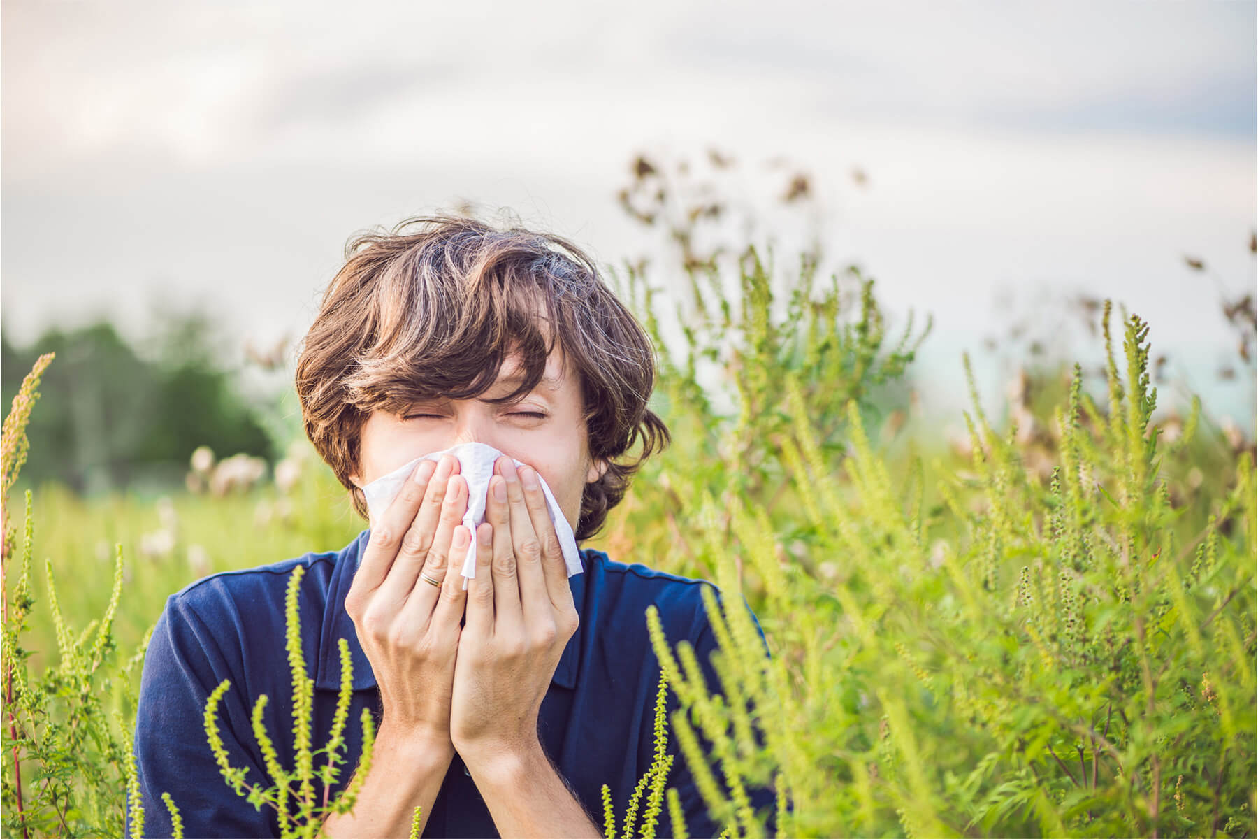 ZoomDoc Health Allergy certificate